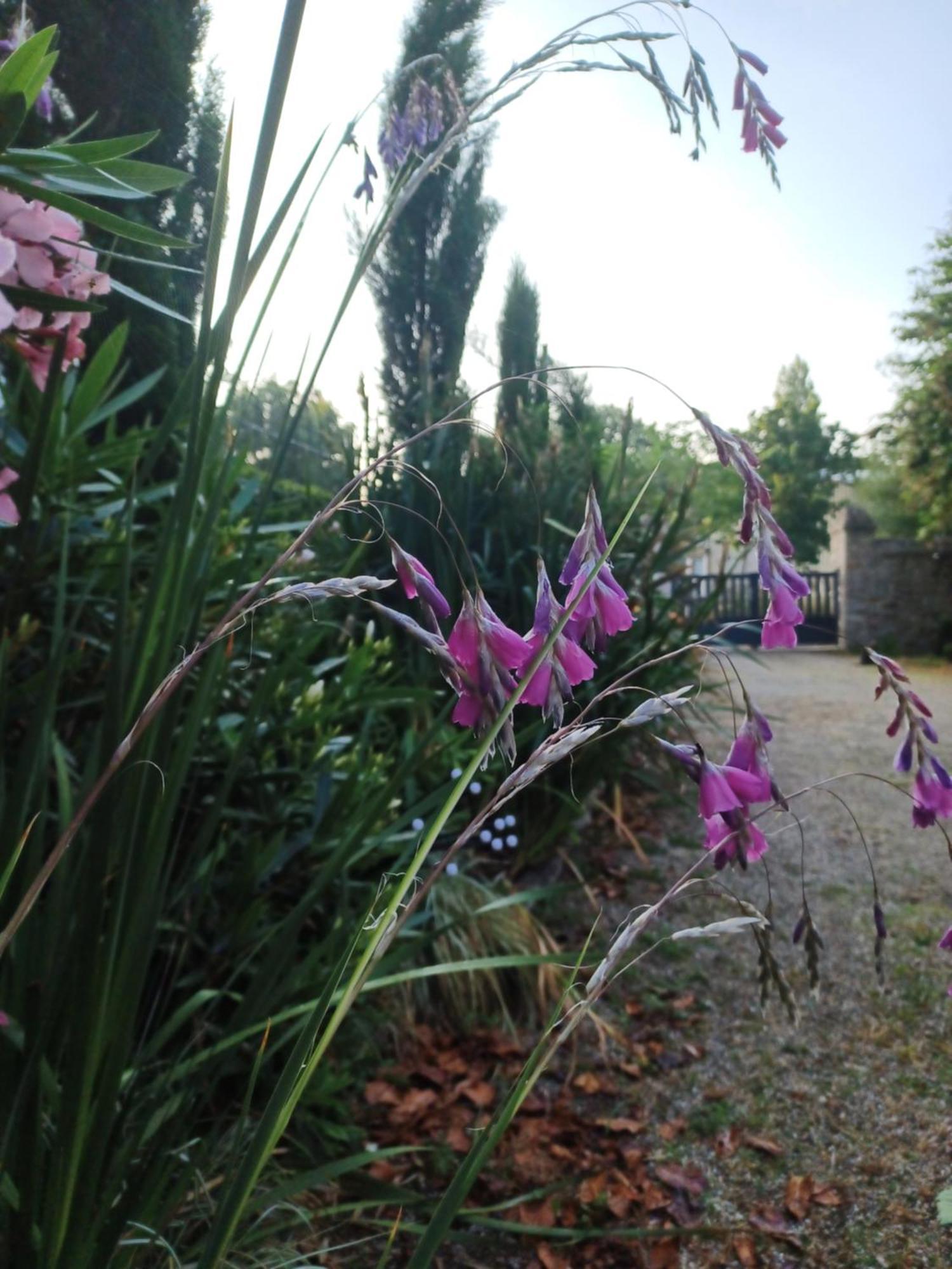 Le Banellou Bed & Breakfast Quimper Exterior photo