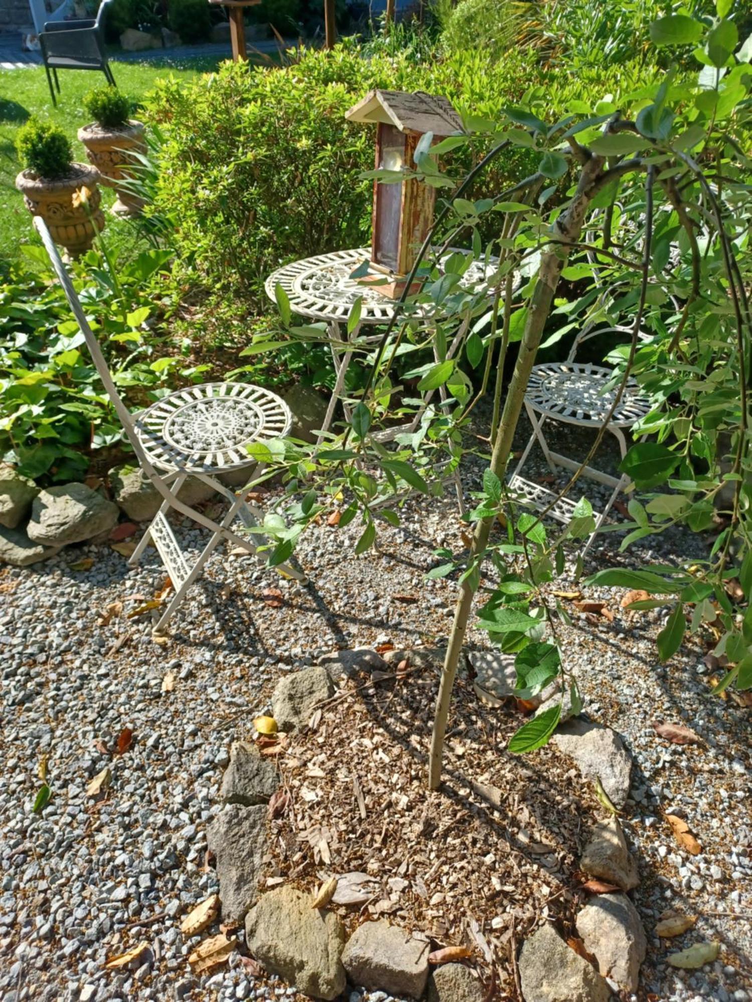 Le Banellou Bed & Breakfast Quimper Exterior photo