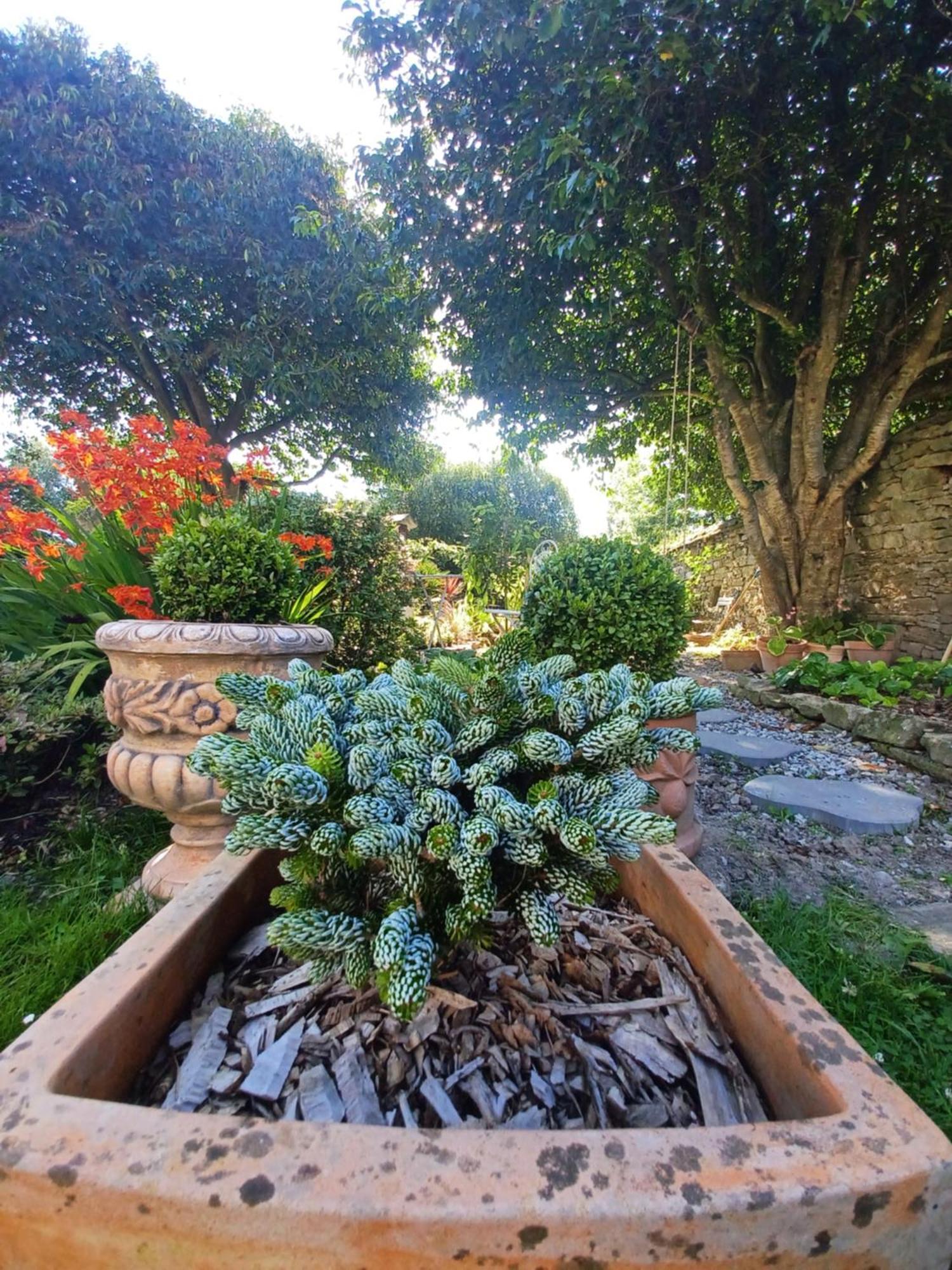 Le Banellou Bed & Breakfast Quimper Exterior photo