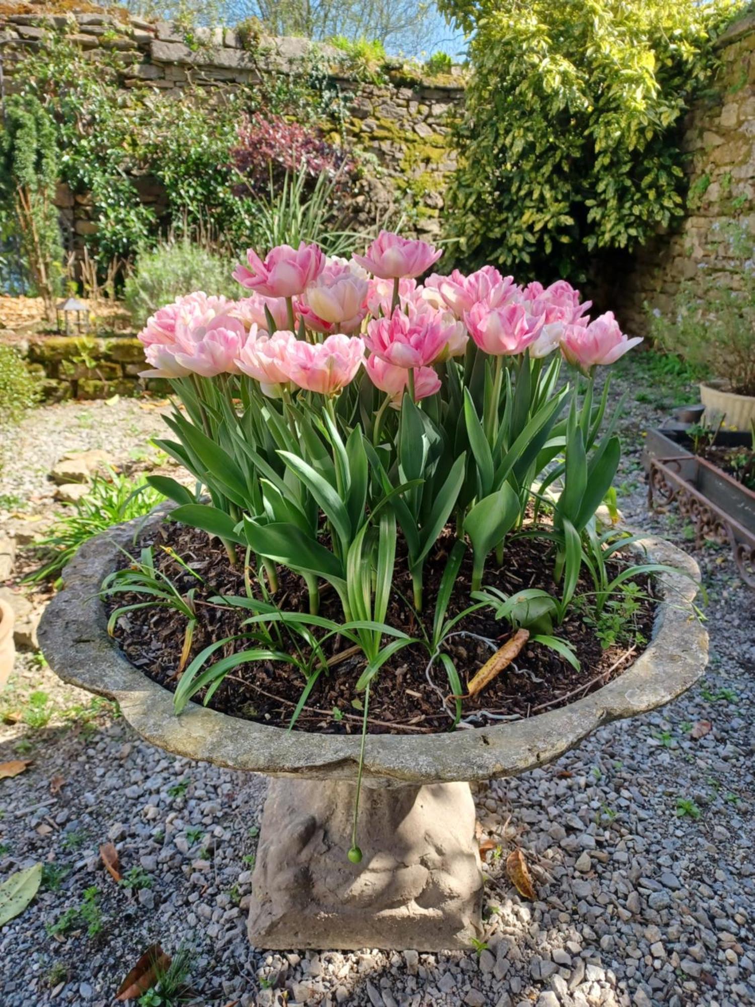 Le Banellou Bed & Breakfast Quimper Exterior photo
