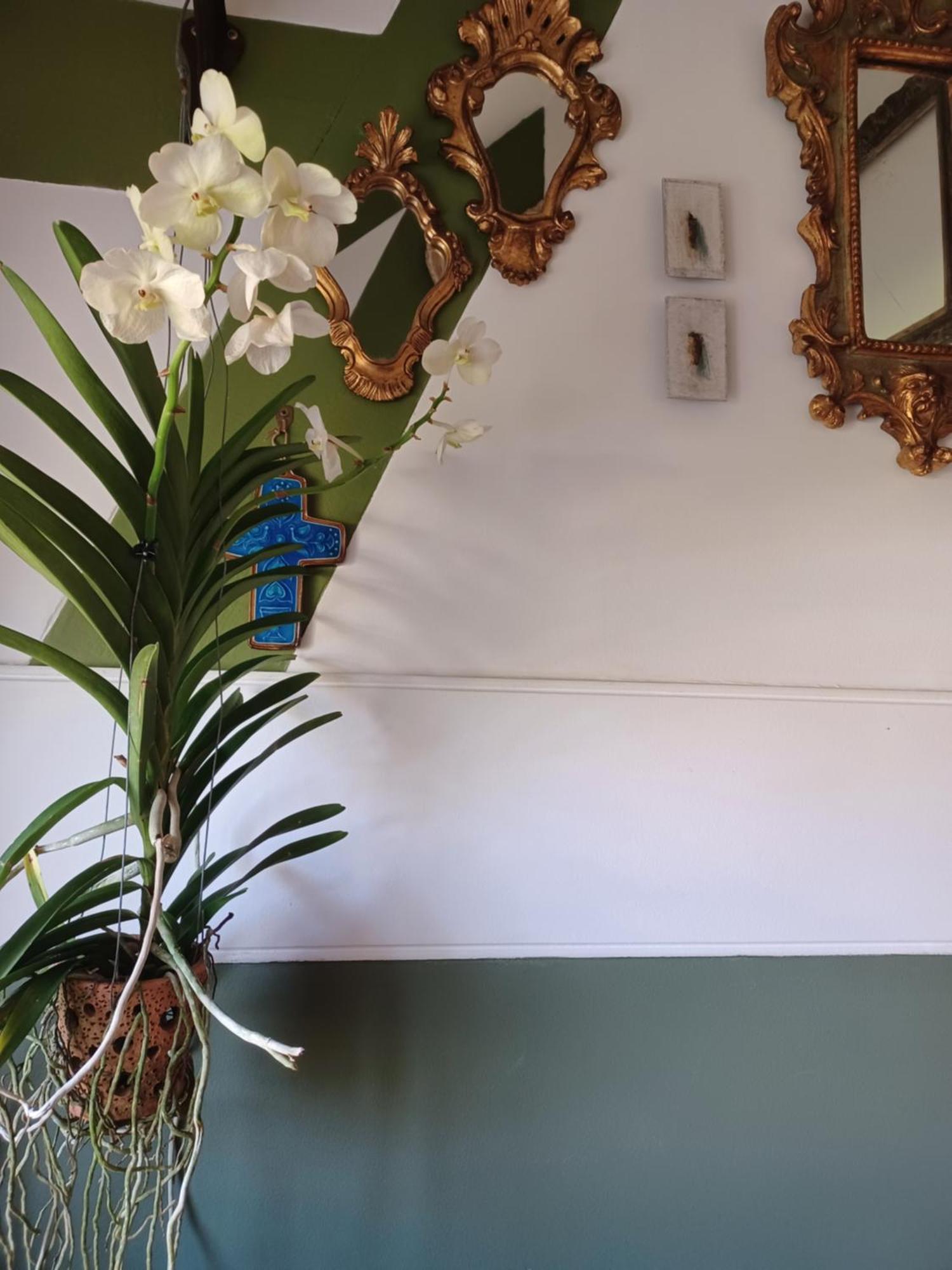 Le Banellou Bed & Breakfast Quimper Exterior photo