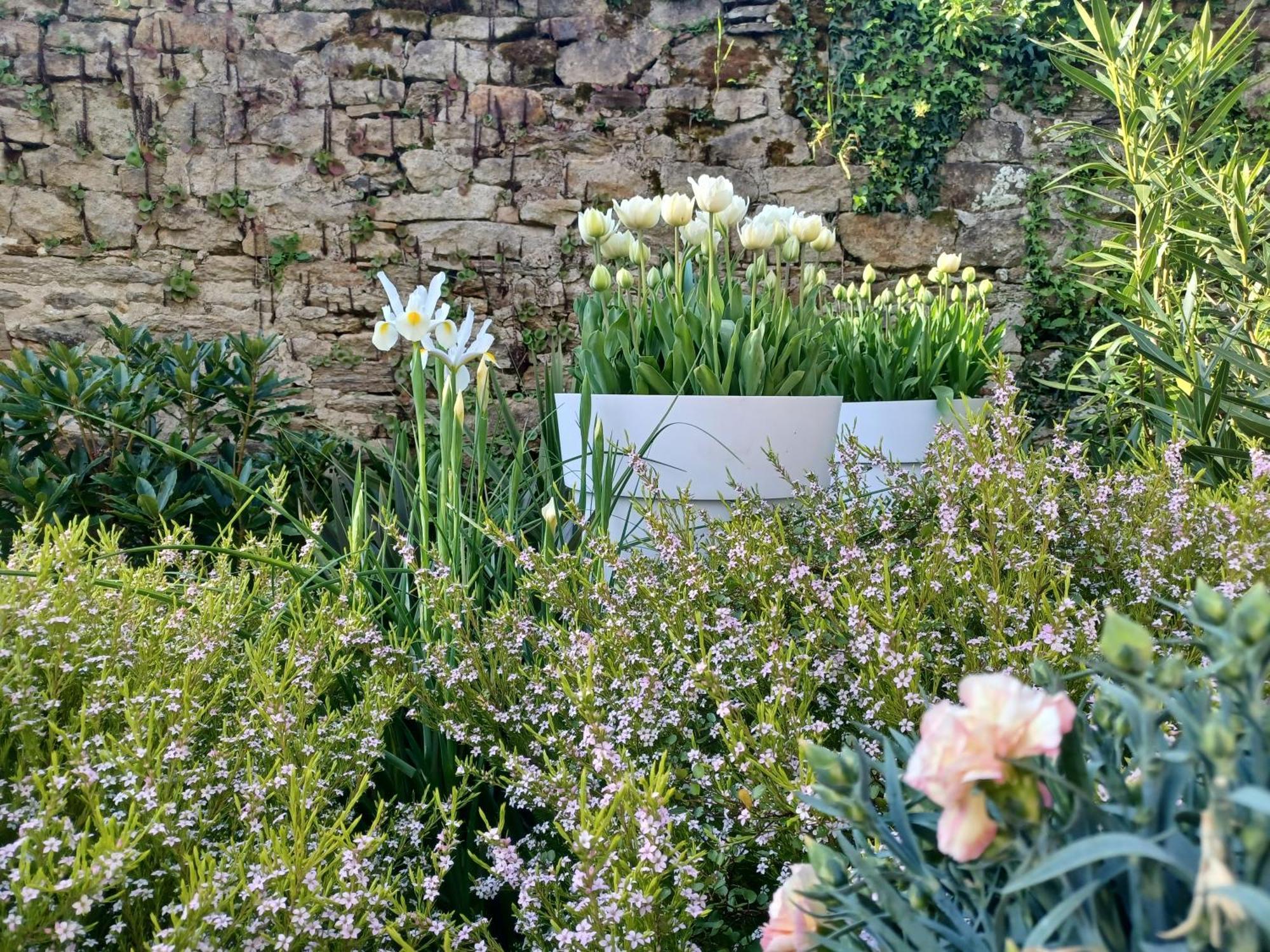 Le Banellou Bed & Breakfast Quimper Exterior photo